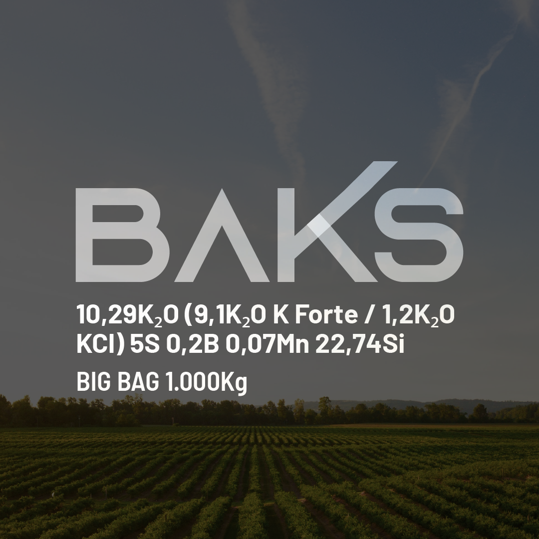 Baks 10,29K2O (9,1K2O K Forte/1,2K2O KCl) 5S 0,2B 0,07Mn 22,74Si - Big Bag - 0